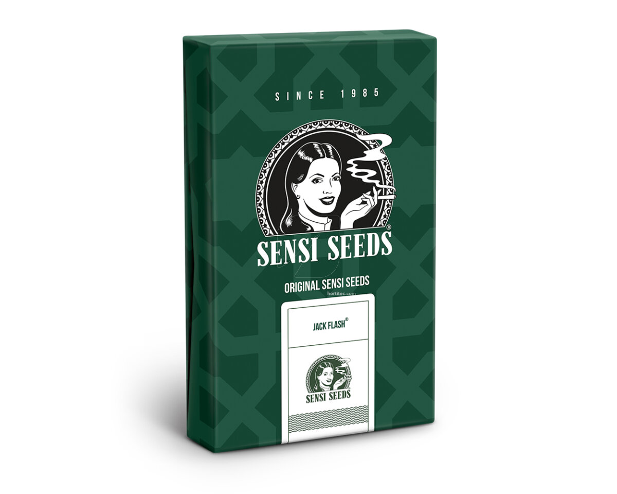 Jack flash regular (10) sensi seeds