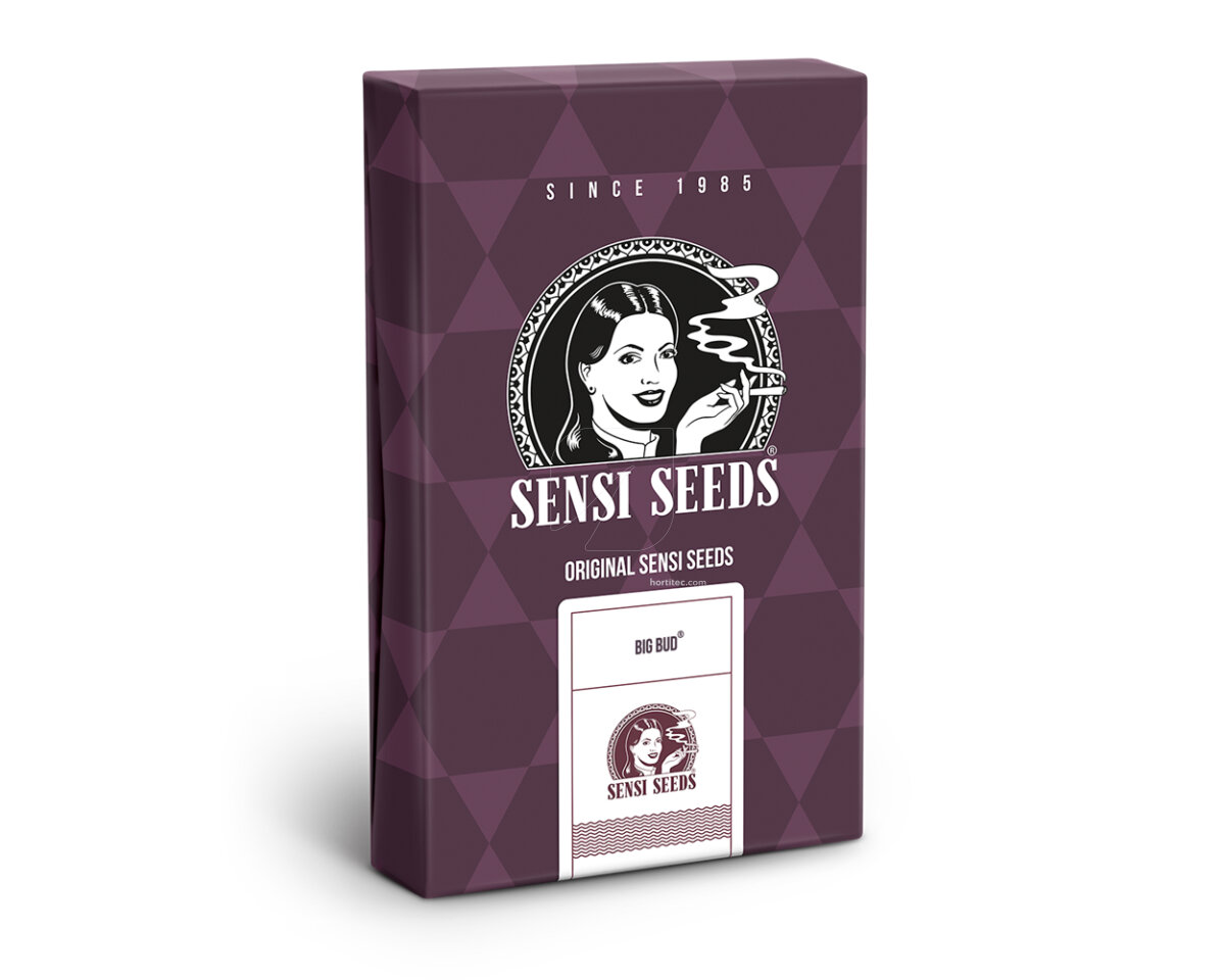 Big bud (3) 100% sensi seeds