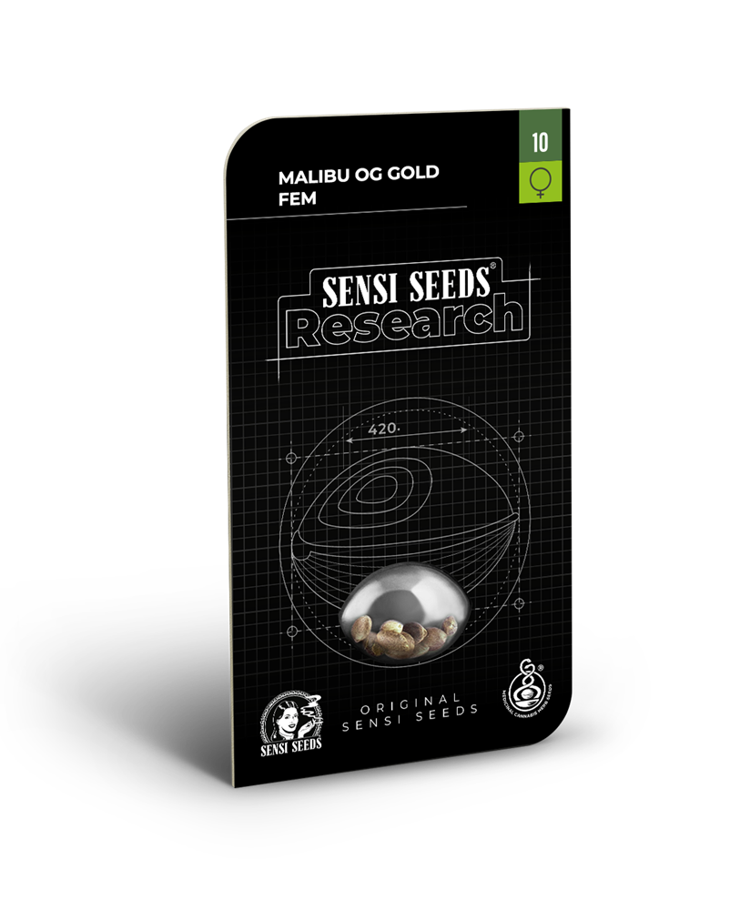 Malibu gold og feminizada (1) sensi seeds