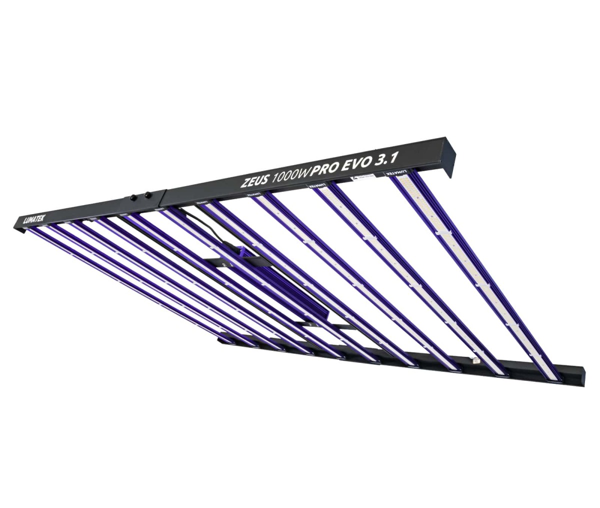 Sistema led zeus 1000 w pro evo 3.1 lumatek